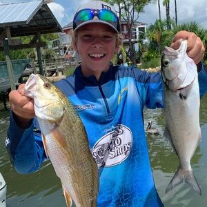 Meet your Posher, Will